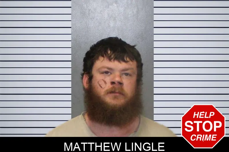 Matthew Lingle Mugshots