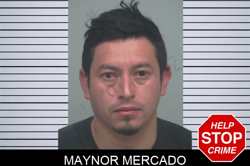 Maynor Mercado Mugshots