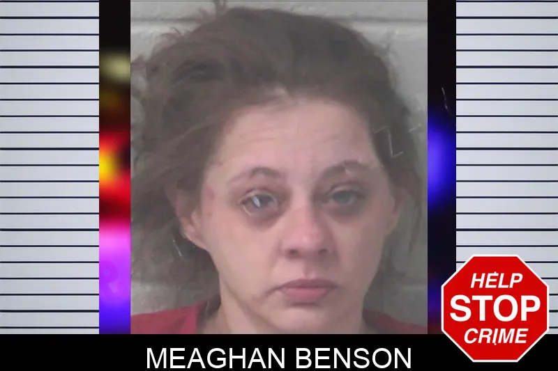 Meaghan Benson Mugshots