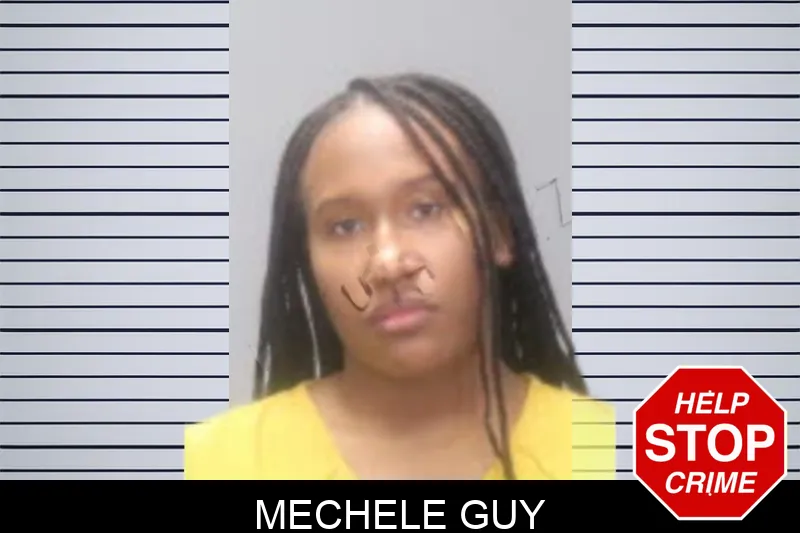 Mechele Guy Mugshots