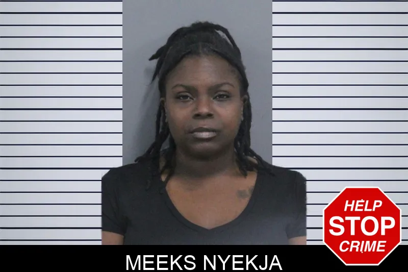 Meeks Nyekja Mugshots