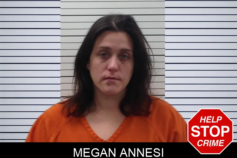 Megan Annesi Mugshots