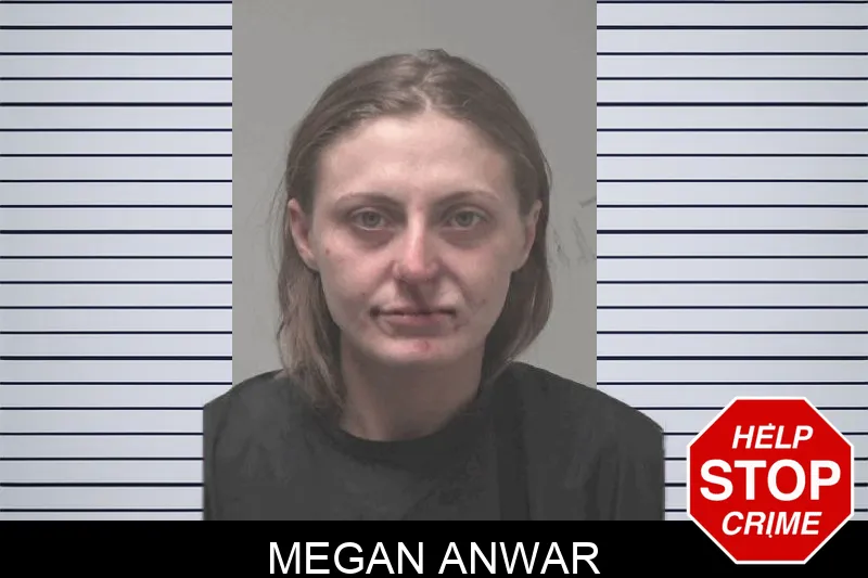 Megan Anwar Mugshots