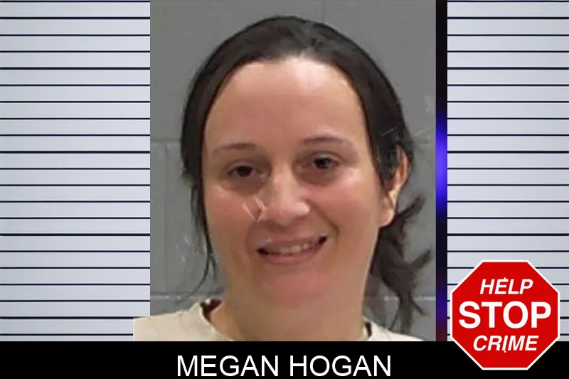 Megan Hogan Mugshots
