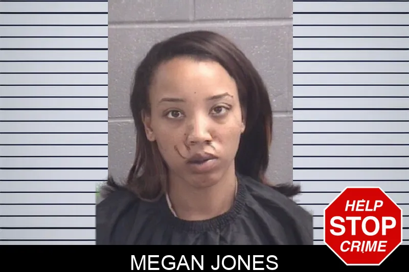 Megan Jones Mugshots