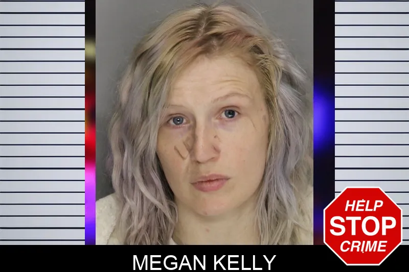 Megan Kelly mugshot