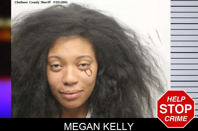 Megan Kelly Mugshots