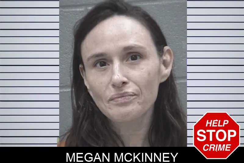 Megan McKinney Mugshots