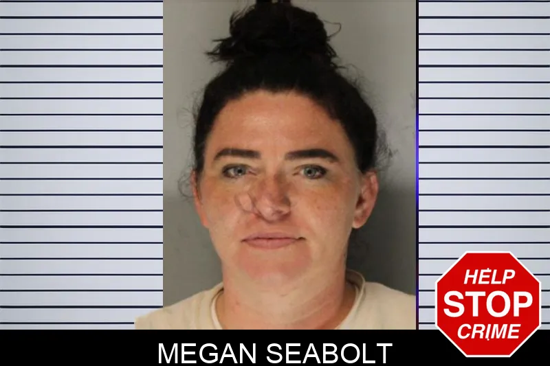 Megan Seabolt mugshot – Hall County , Georgia Megan Seabolt mugshot