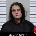 Megan Smith Mugshots