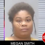 Megan Smith Mugshots