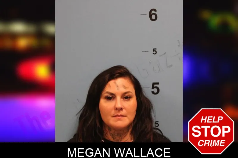 Megan Wallace Mugshots