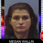 Megan Wallin Mugshots