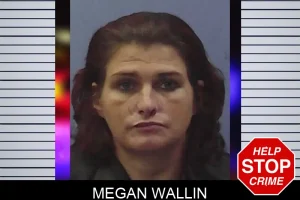 Megan Wallin mugshot