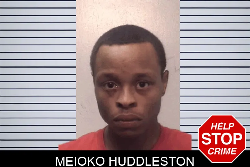 Meioko Huddleston Mugshots