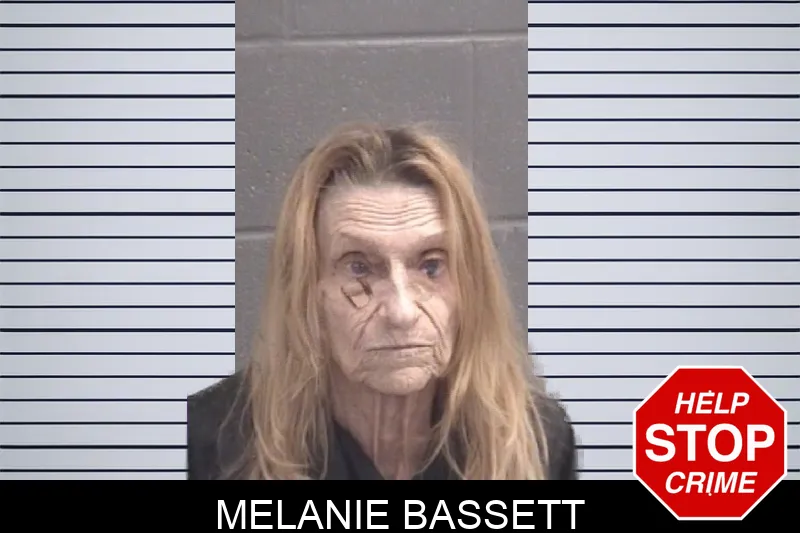 Melanie Bassett Mugshots