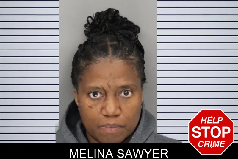 Melina Sawyer Mugshots