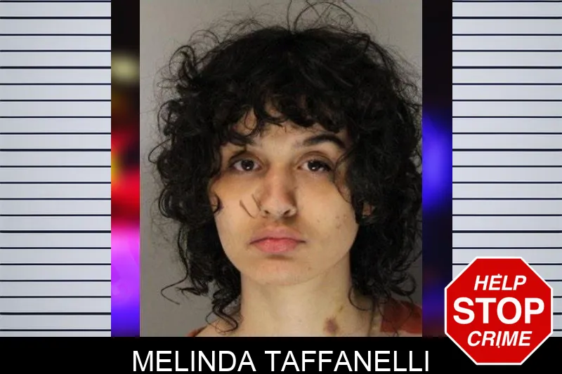 Melinda Taffanelli mugshot – Hall County , Georgia Melinda Taffanelli mugshot