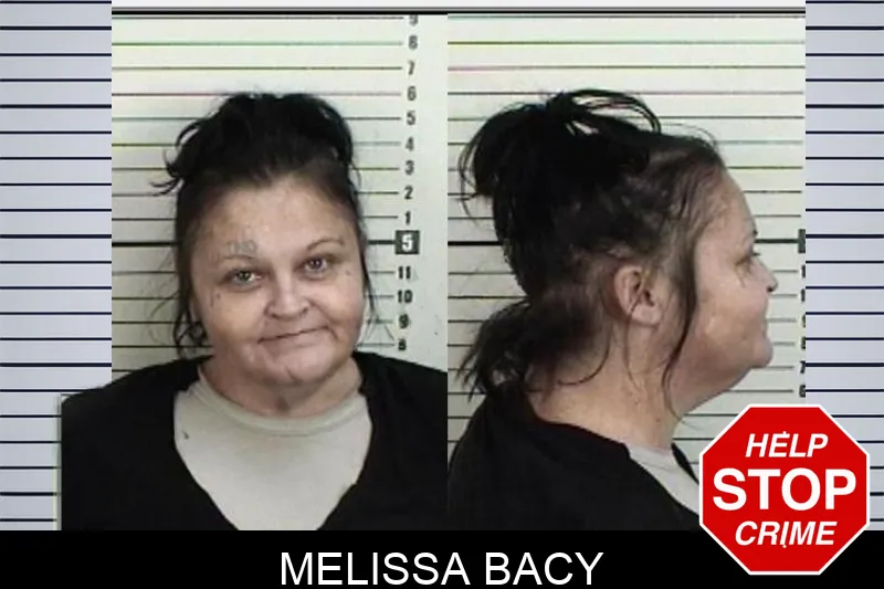 Melissa Bacy Mugshots