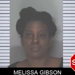 Melissa Gibson Mugshots