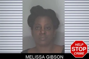 Melissa Gibson mugshot
