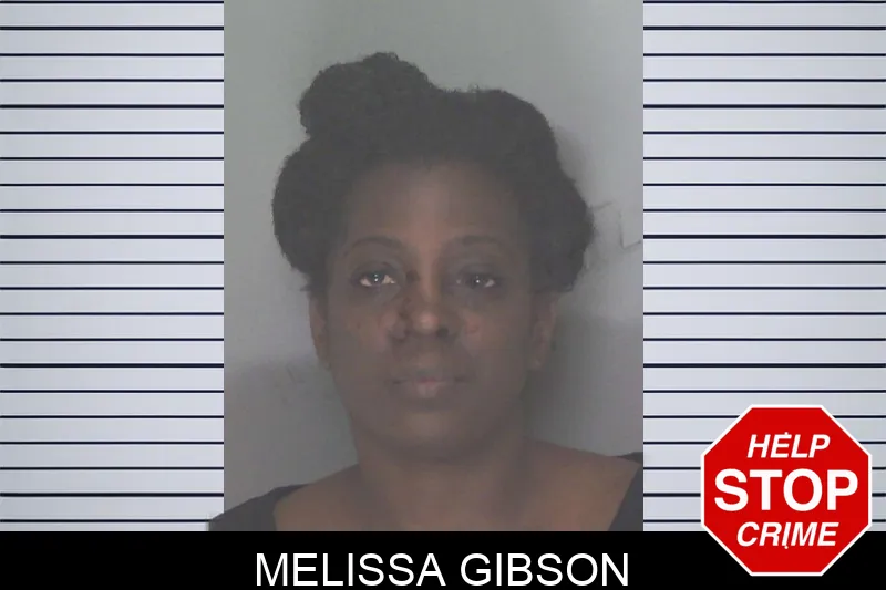 Melissa Gibson Mugshots