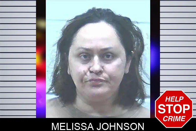 Melissa Johnson Mugshots