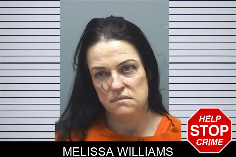 Melissa Williams Mugshots