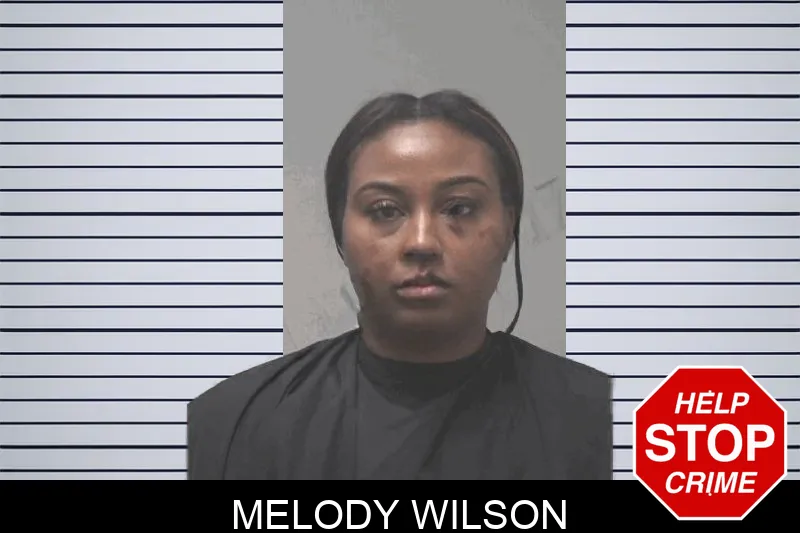 Melody Wilson mugshot – Coweta County , Georgia Melody Wilson mugshot