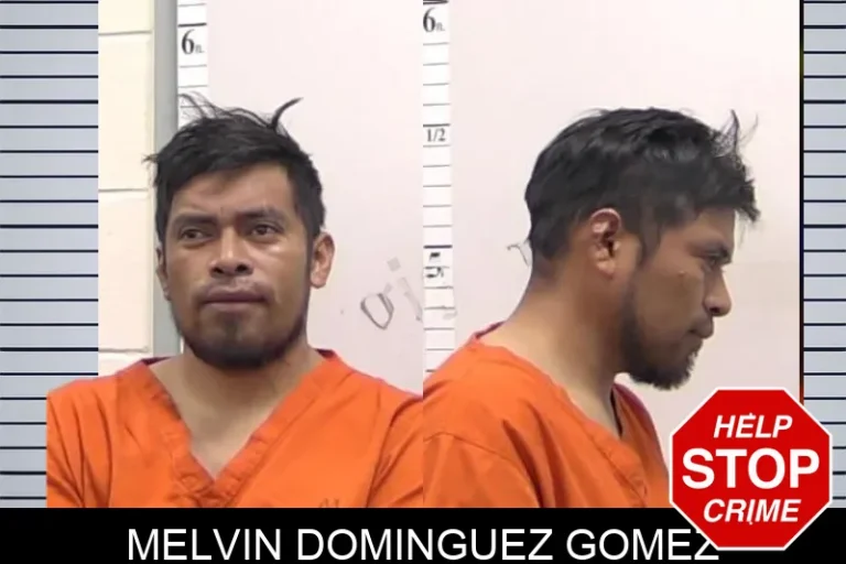 Melvin Dominguez Gomez