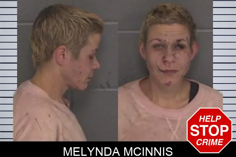 Melynda McInnis Mugshots