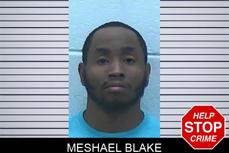 Meshael Blake Mugshots