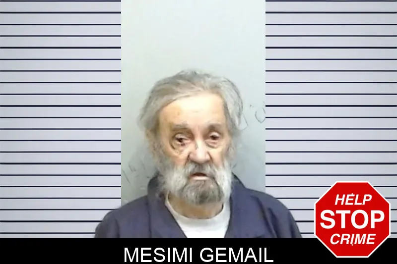 Mesimi Gemail mugshot – Fulton County , Georgia Mesimi Gemail mugshot