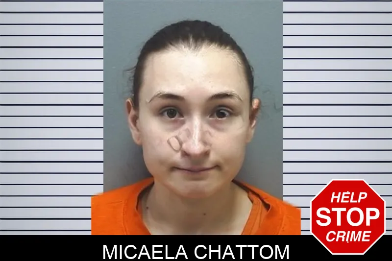 Micaela Chattom Mugshots