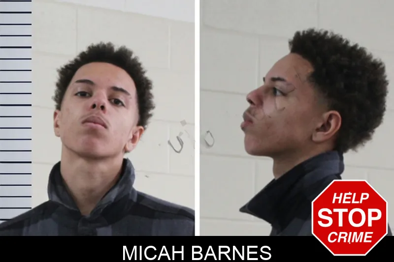 Micah Barnes Mugshots