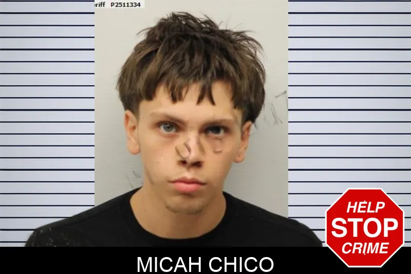 Micah Chico mugshot – Chatham County , Georgia Micah Chico mugshot