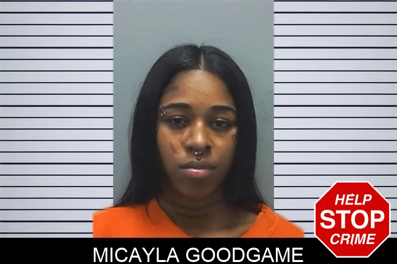 Micayla Goodgame mugshot