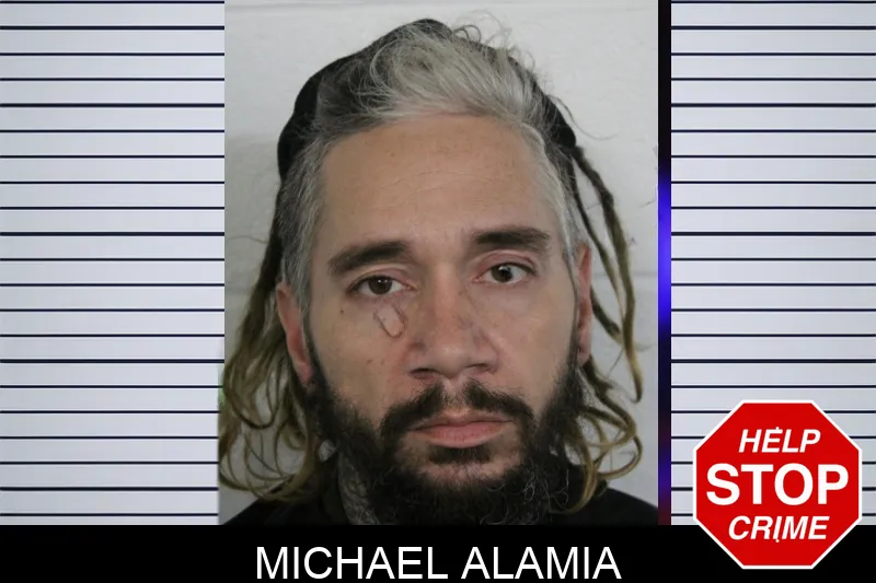Michael Alamia Mugshots