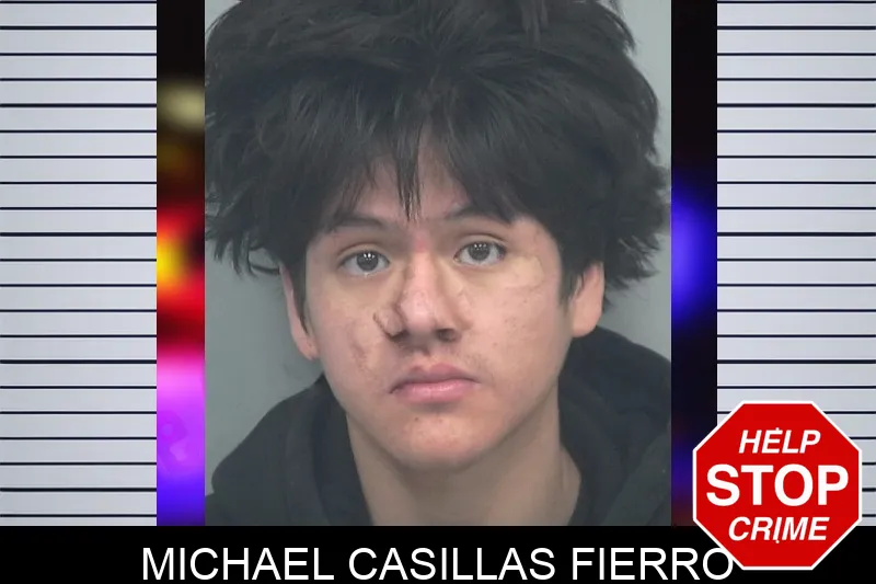 Michael Casillas Fierro Mugshots