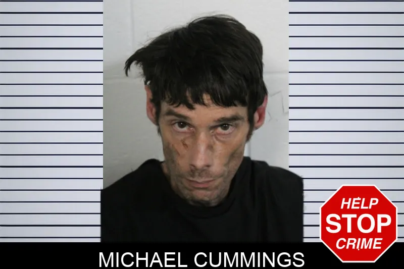 Michael Cummings Mugshots