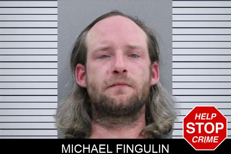 Michael Fingulin