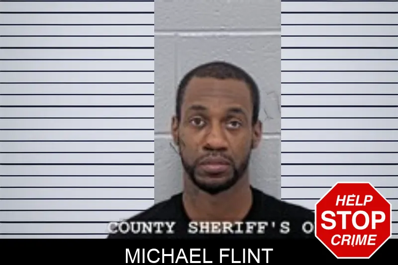 Michael Flint Mugshots