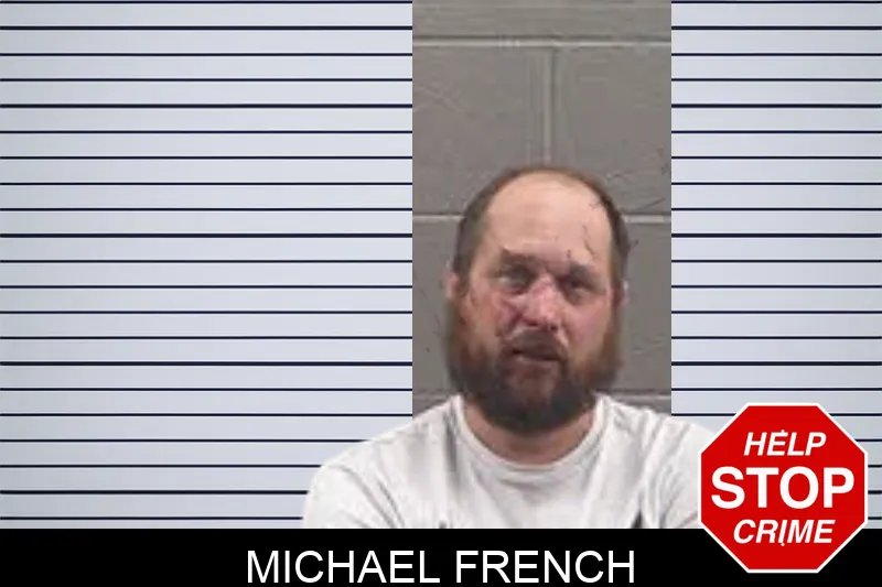 Michael French Mugshots