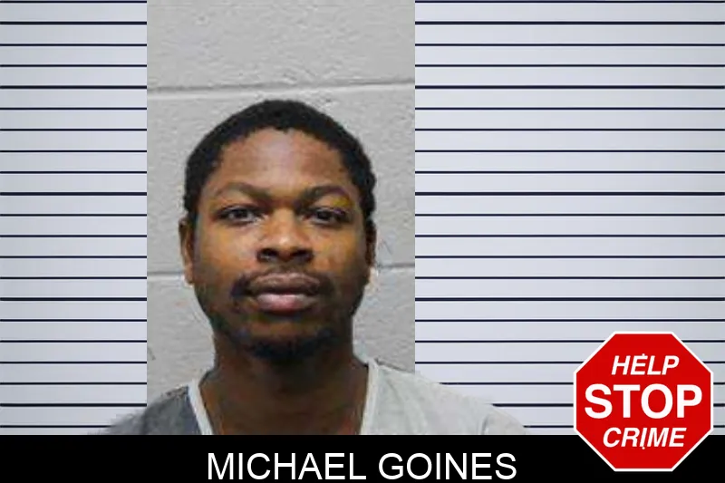 Michael Goines Mugshots