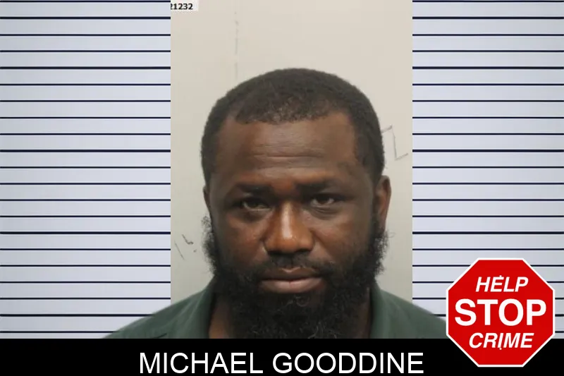 Michael Gooddine mugshot – Chatham County , Georgia Michael Gooddine mugshot