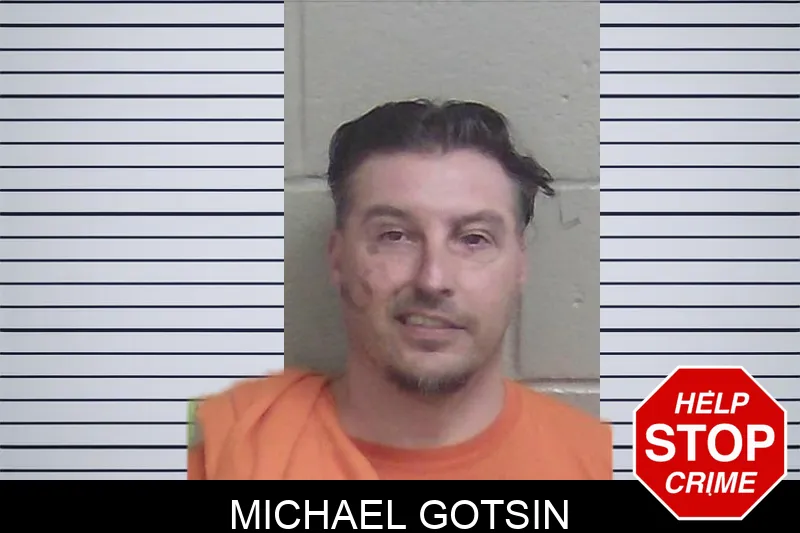 Michael Gotsin Mugshots