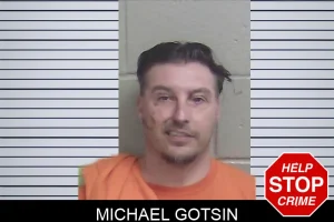 Michael Gotsin mugshot