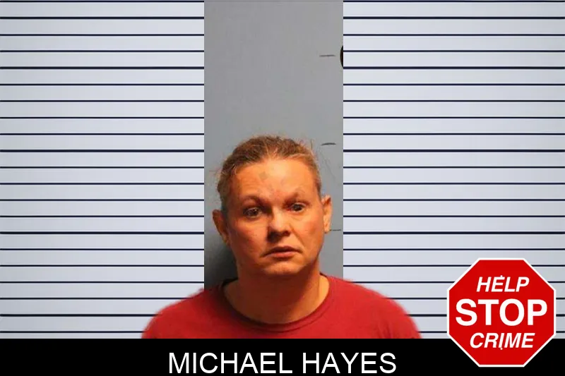 Michael Hayes Mugshots