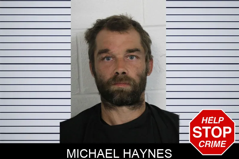 Michael Haynes Mugshots
