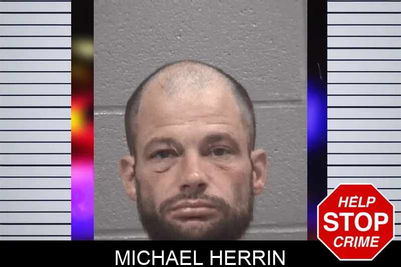 Michael Herrin Mugshots